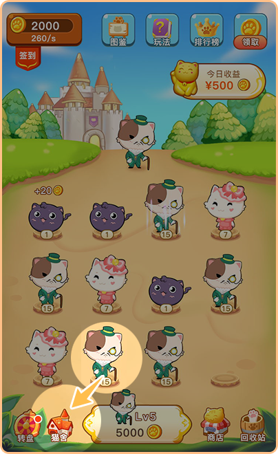 猫猫成长日志猫咪展示